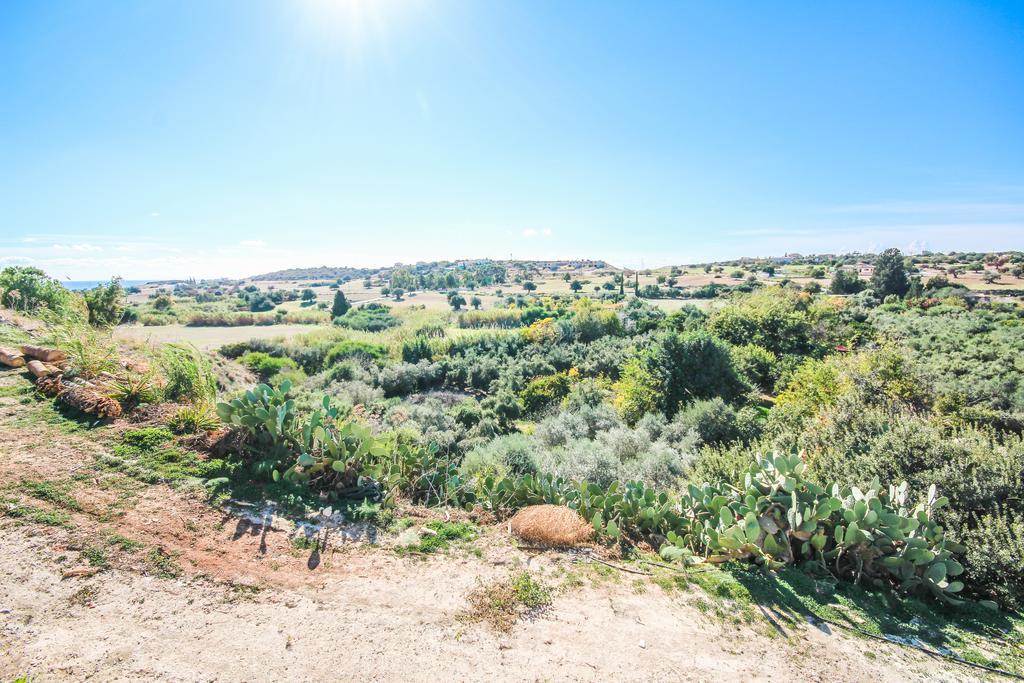 Orchard View Cottage Maroni Экстерьер фото